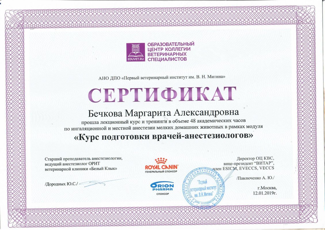 Документ или сертификат