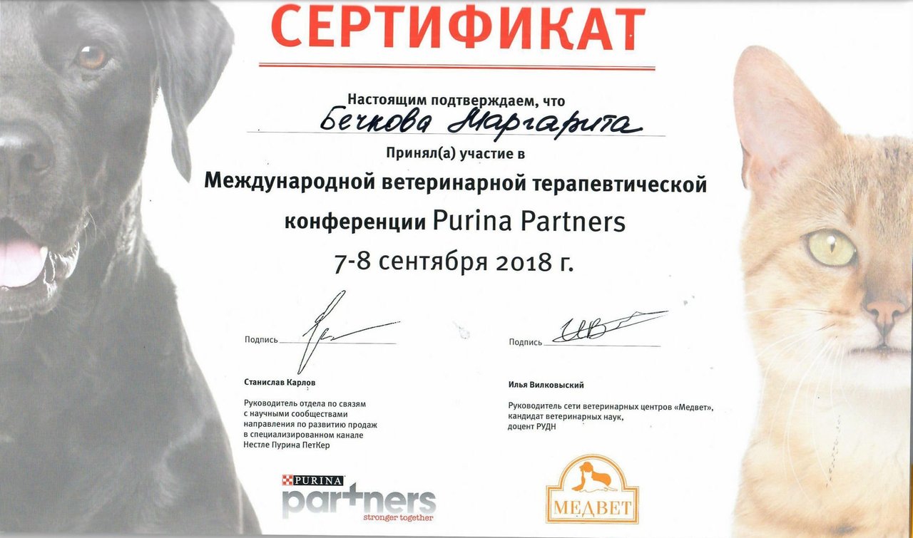 Документ или сертификат