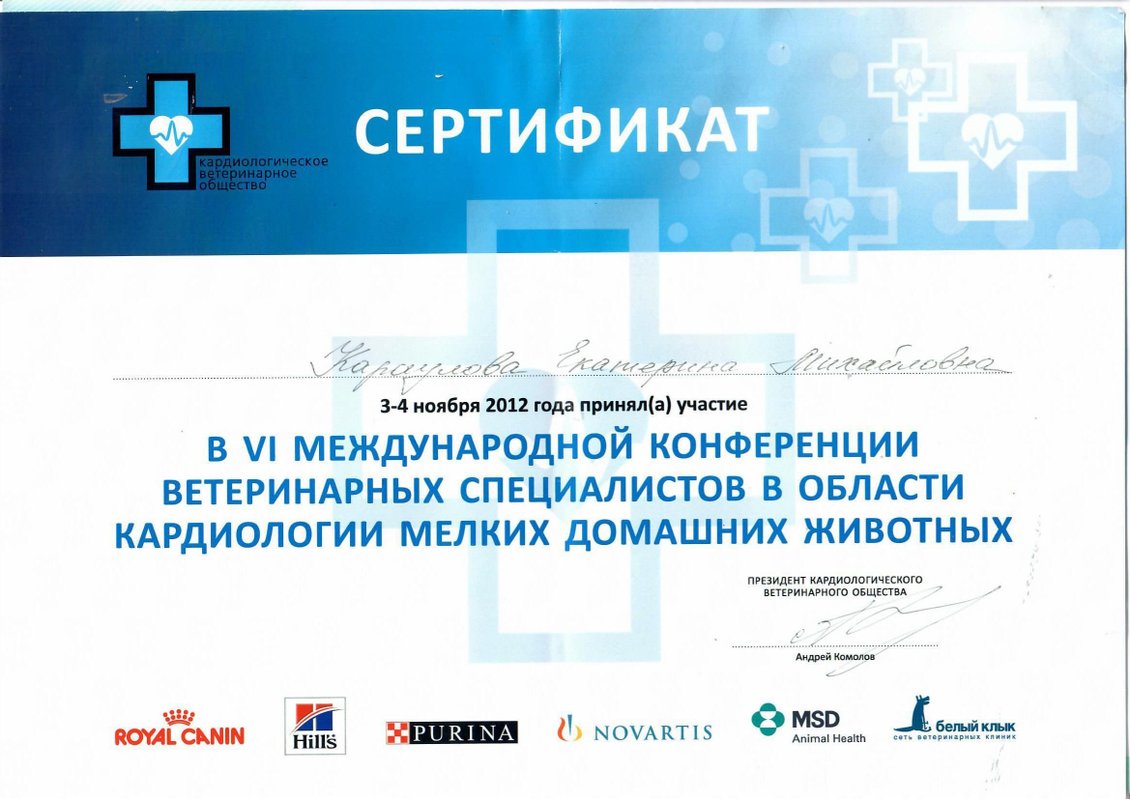 Документ или сертификат