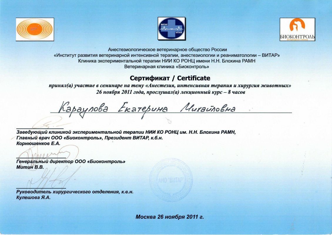 Документ или сертификат