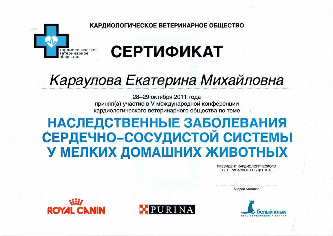 Документ или сертификат