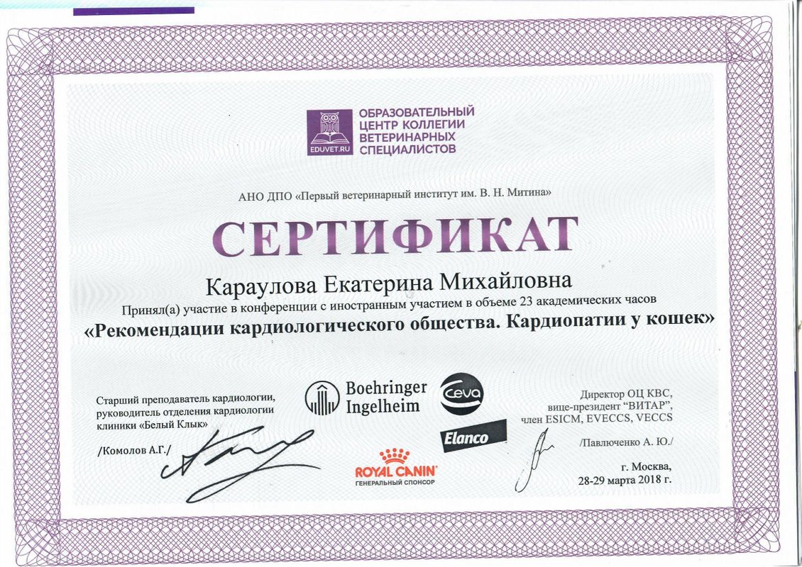 Документ или сертификат