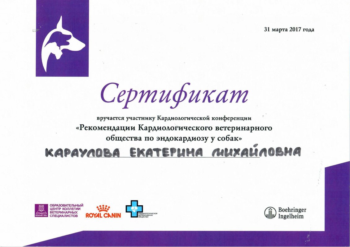 Документ или сертификат