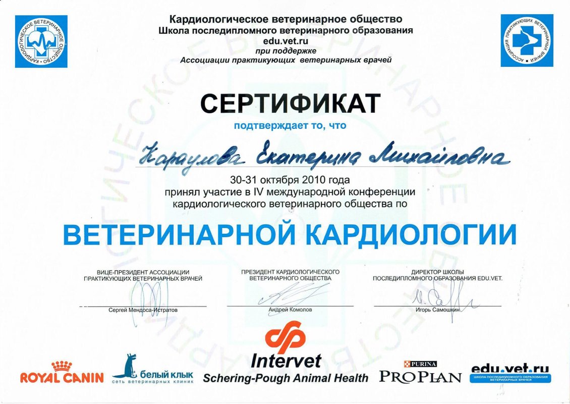 Документ или сертификат