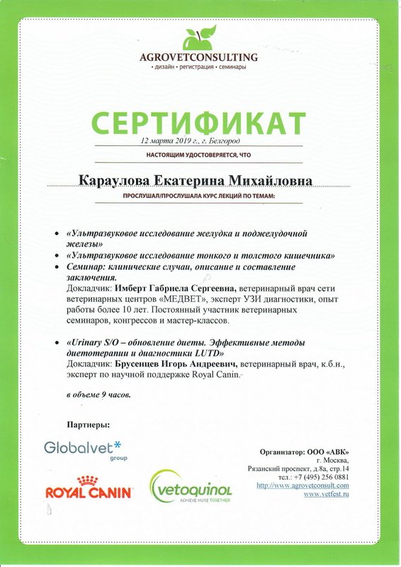 Документ или сертификат