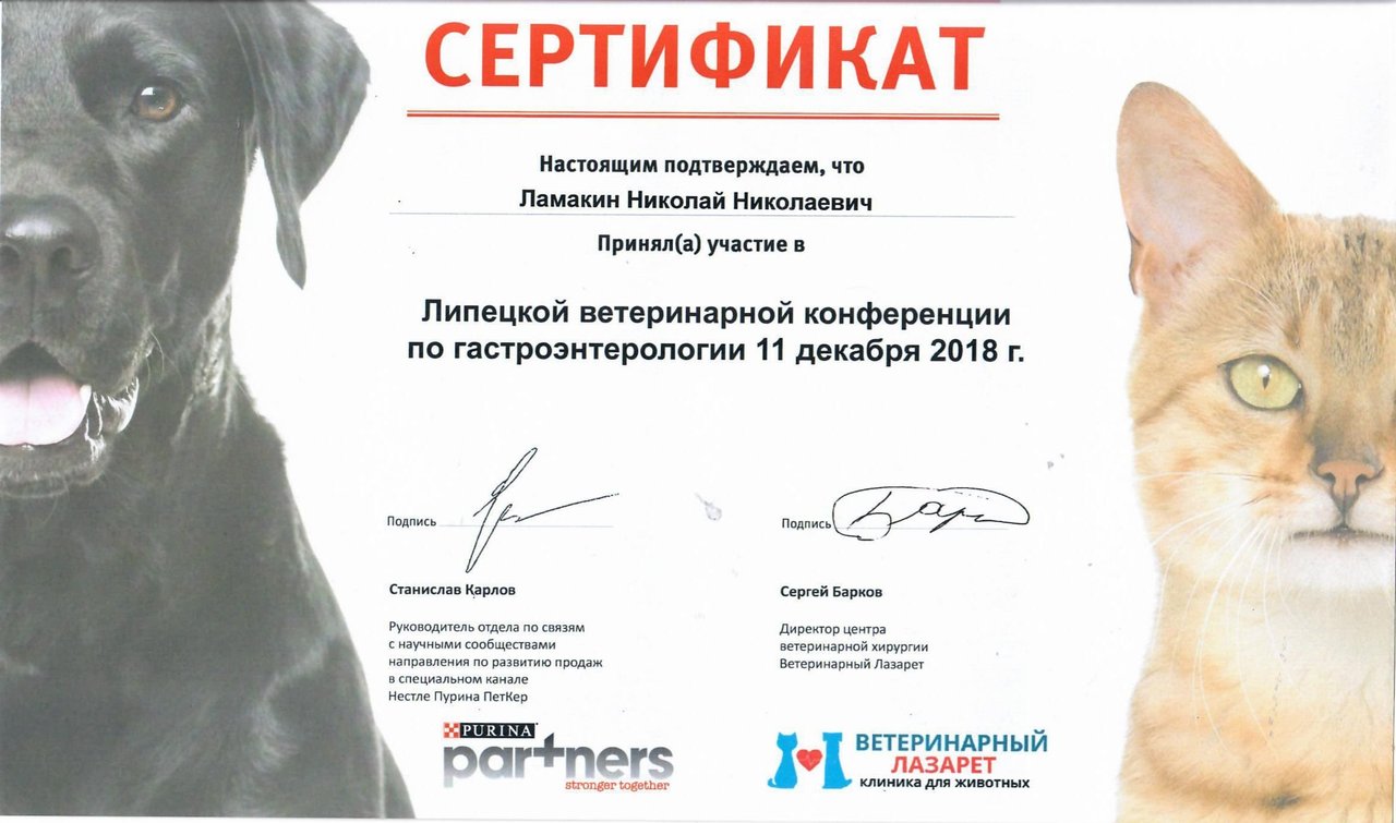 Документ или сертификат