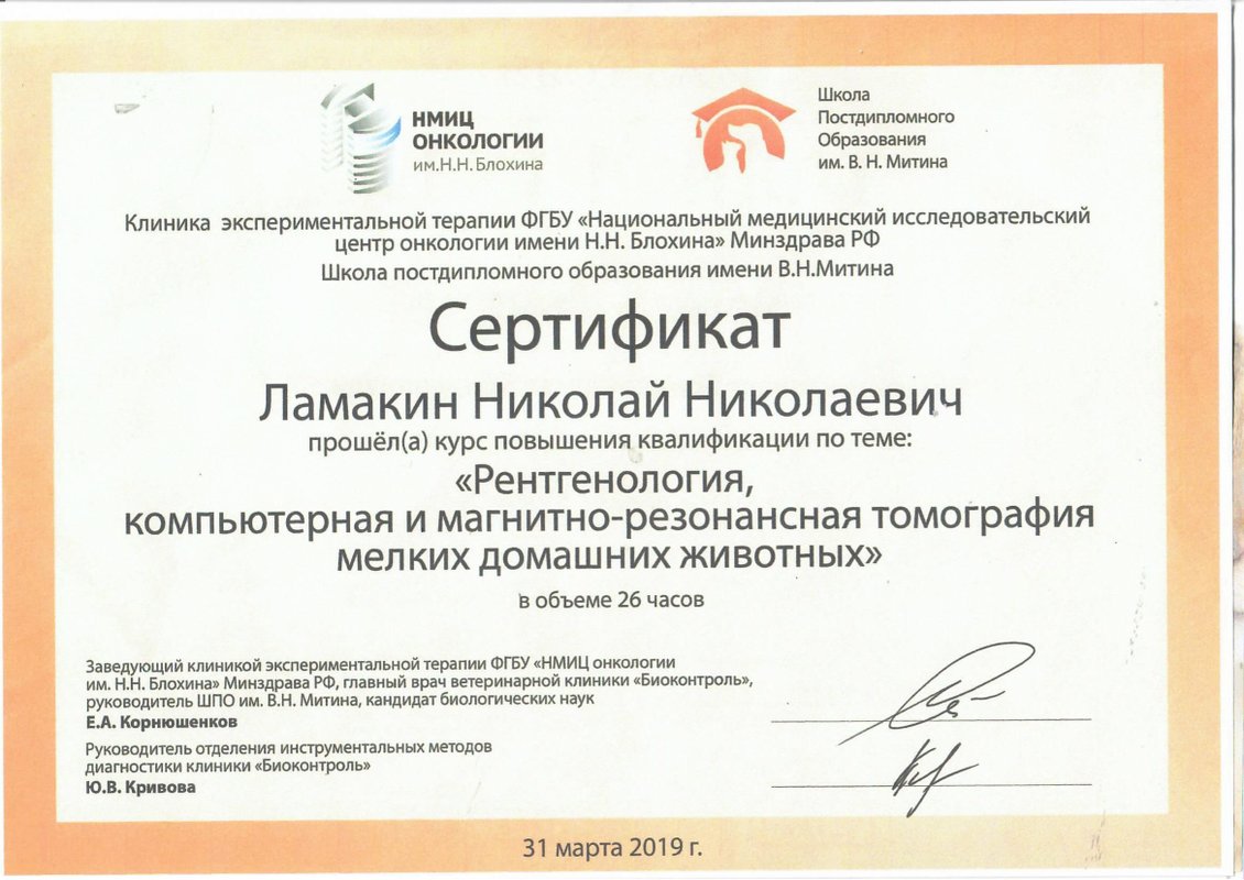 Документ или сертификат