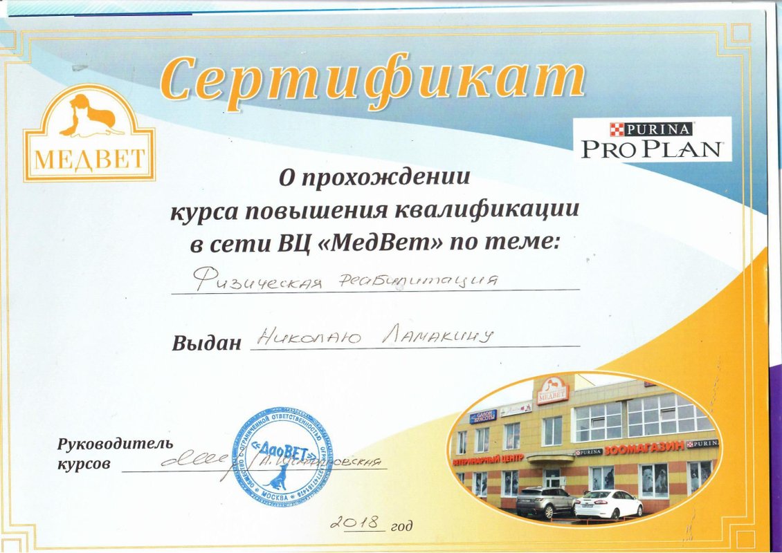 Документ или сертификат