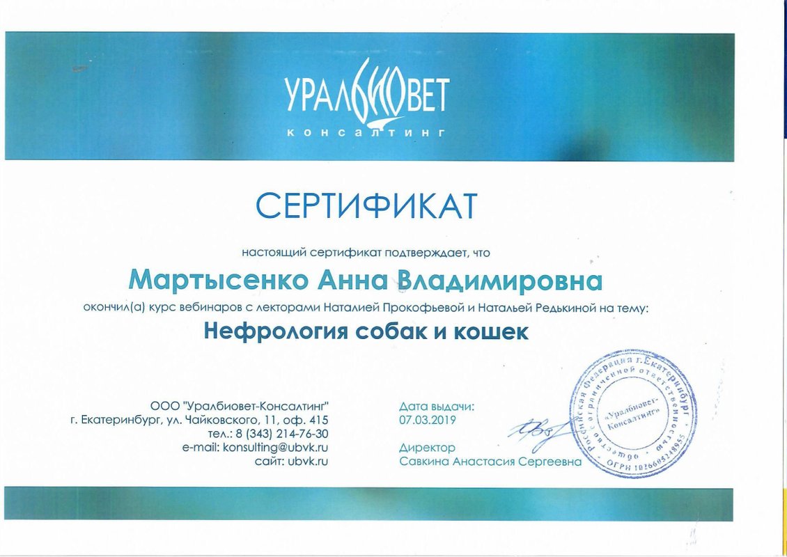 Документ или сертификат