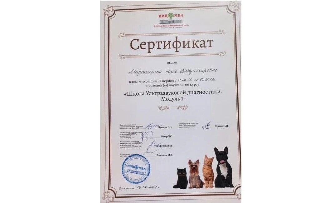 Документ или сертификат
