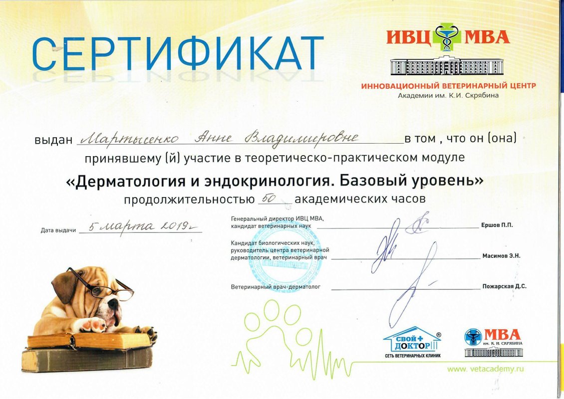 Документ или сертификат