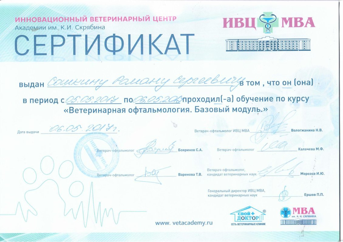 Документ или сертификат