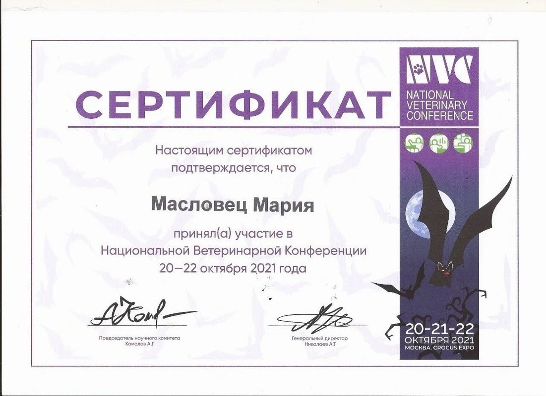 Документ или сертификат
