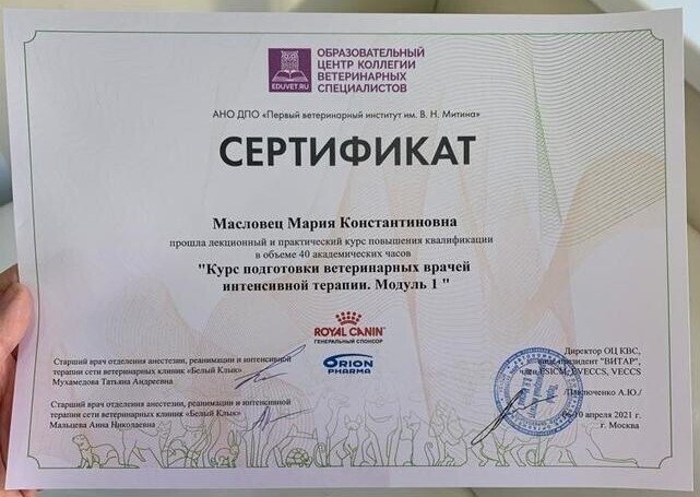 Документ или сертификат