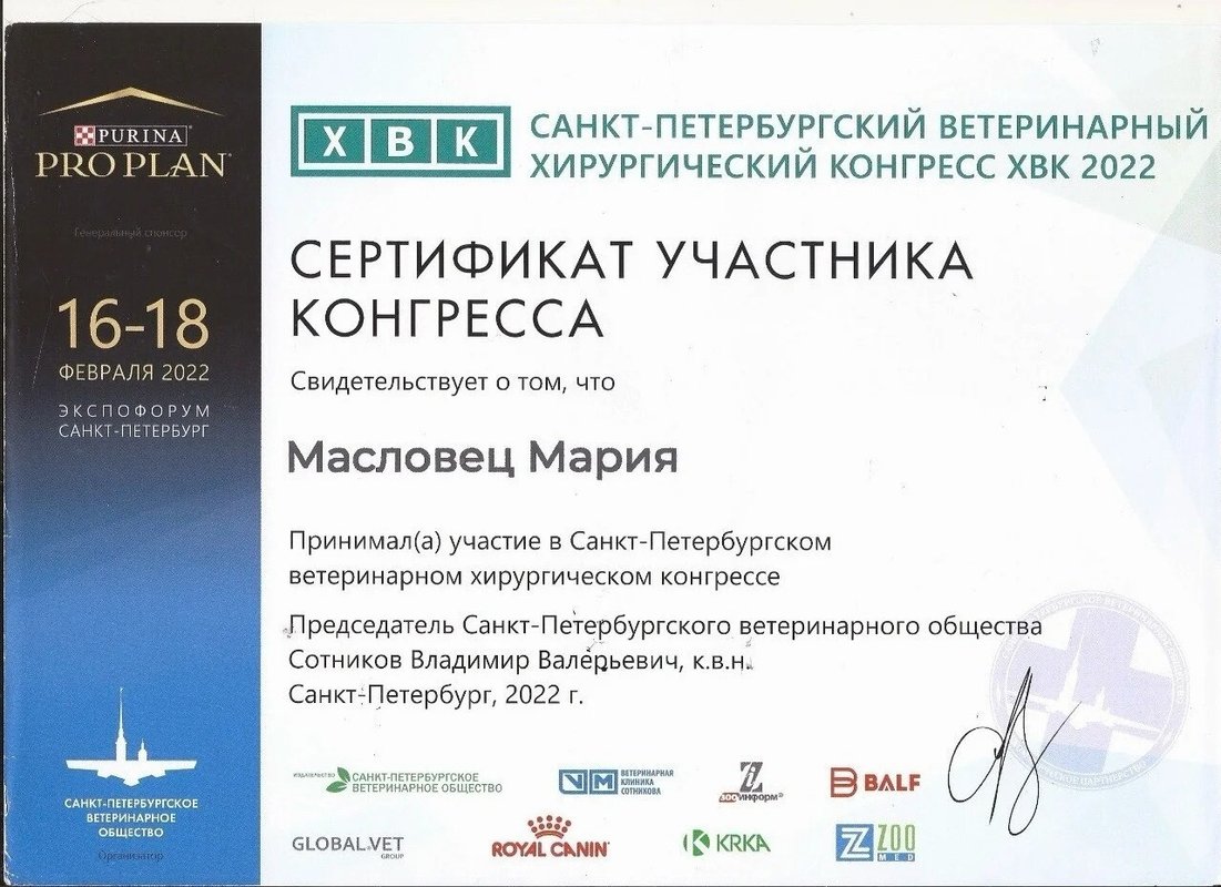 Документ или сертификат