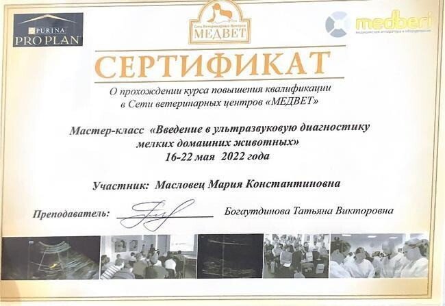 Документ или сертификат