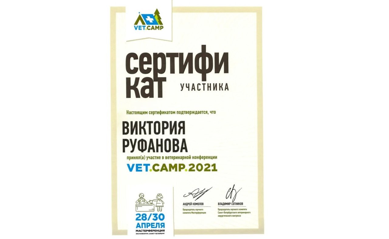 Документ или сертификат