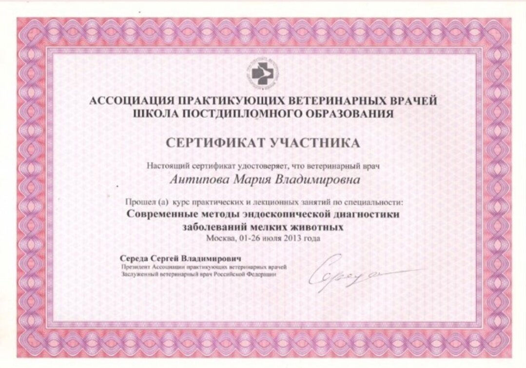Документ или сертификат