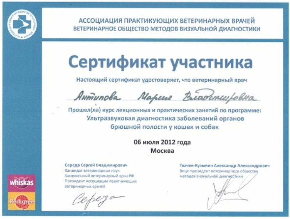 Документ или сертификат