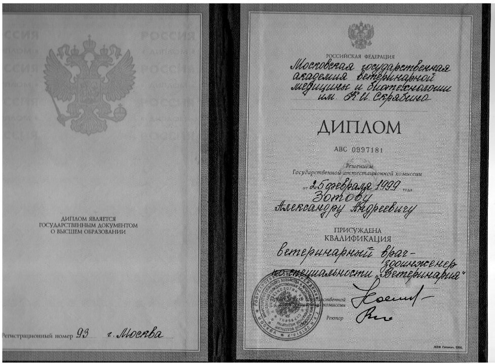 Документ или сертификат