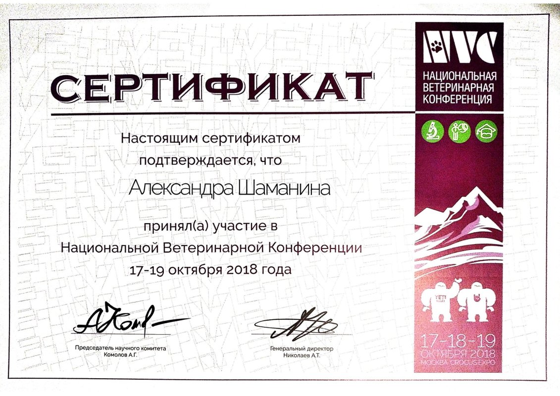 Документ или сертификат