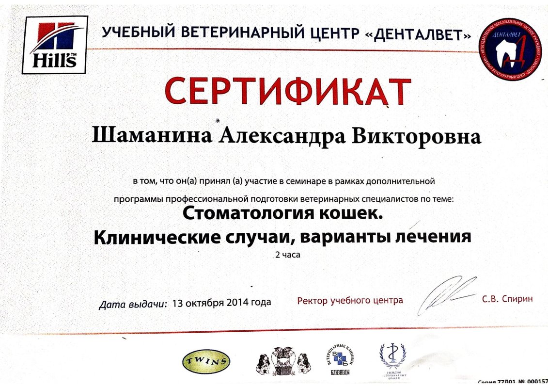 Документ или сертификат