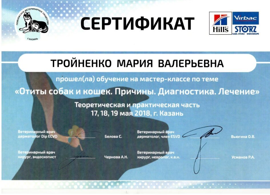 Документ или сертификат