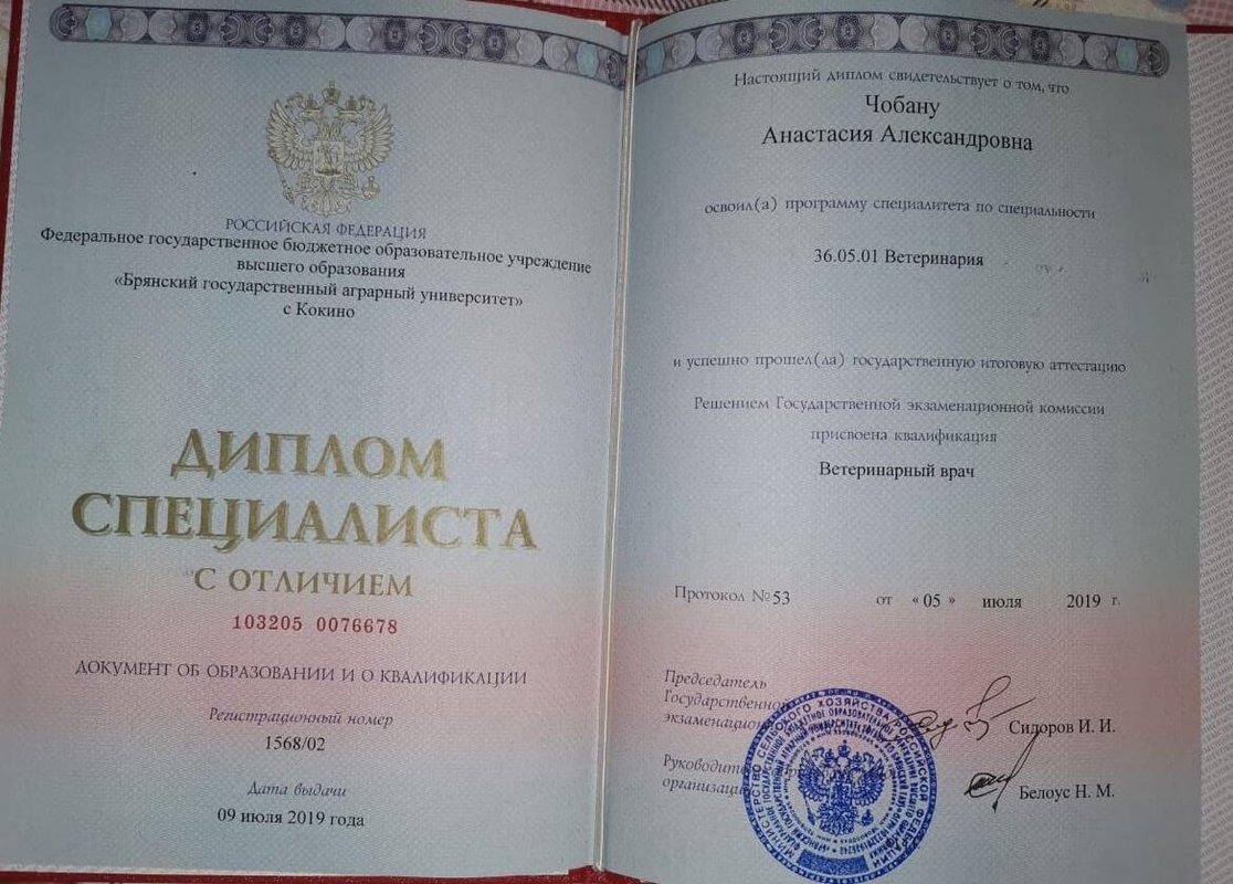Документ или сертификат