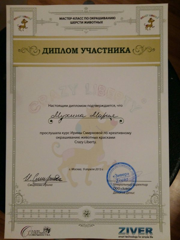 Документ или сертификат