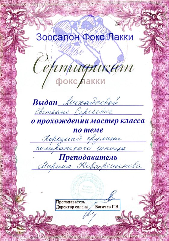 Документ или сертификат