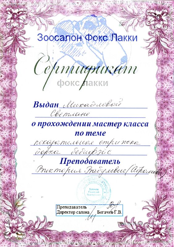 Документ или сертификат