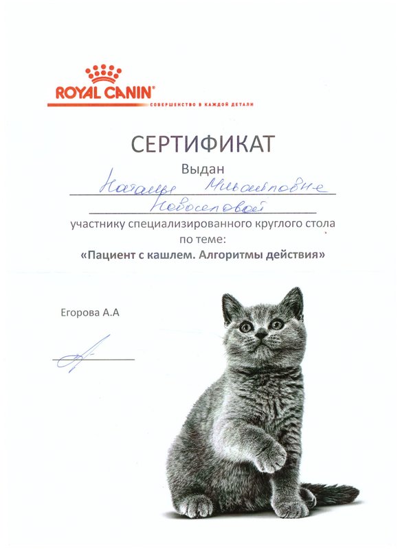 Документ или сертификат