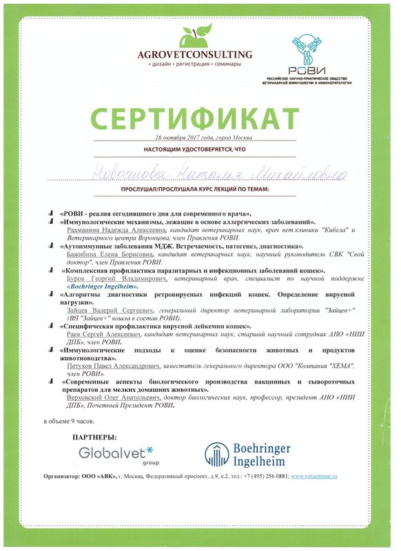 Документ или сертификат
