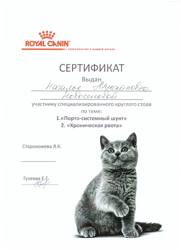 Документ или сертификат