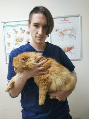 Фото врача Колодин Дмитрий Владиславович