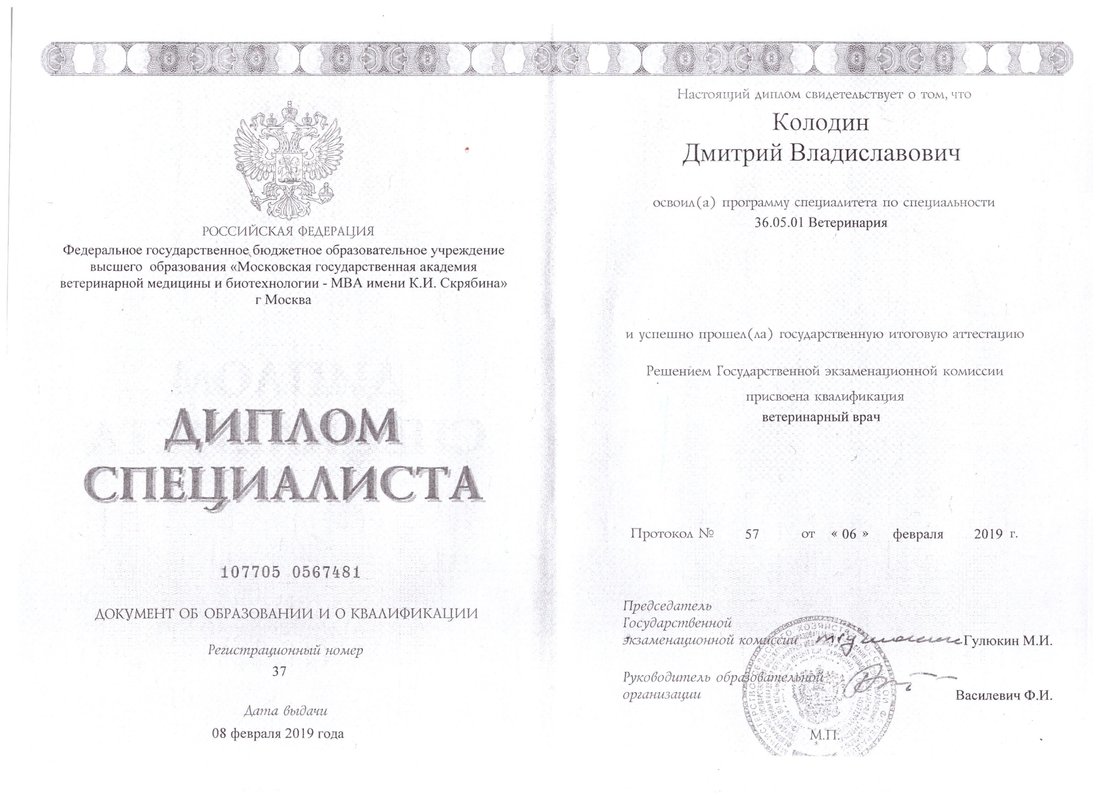 Документ или сертификат