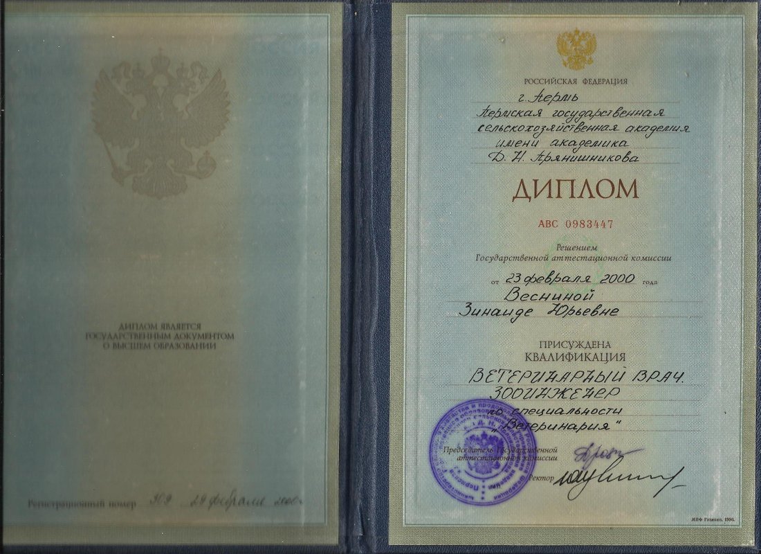 Документ или сертификат