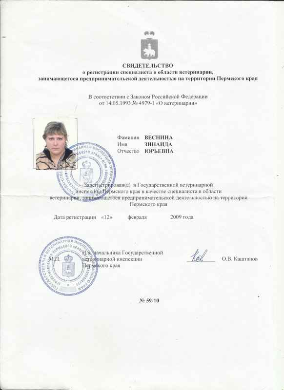 Документ или сертификат