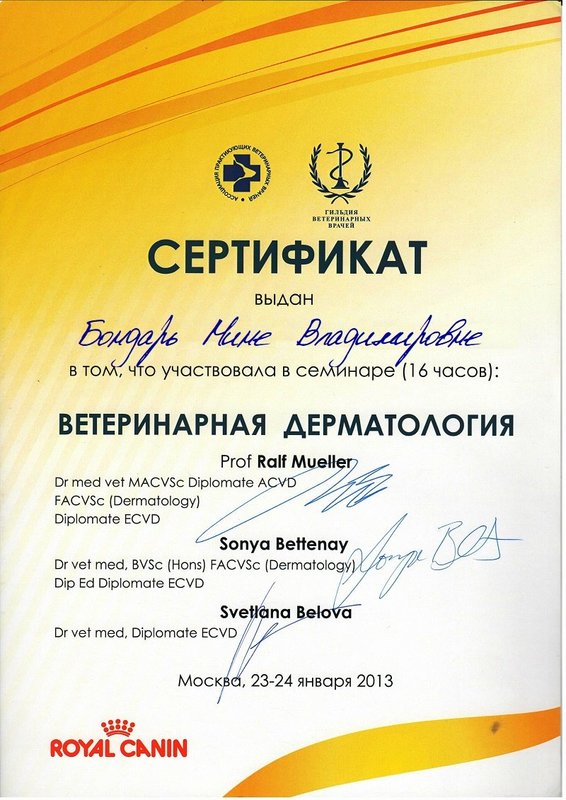 Документ или сертификат