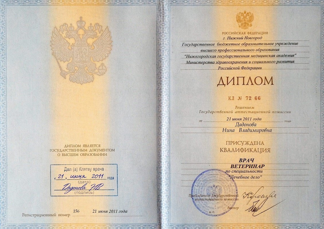 Документ или сертификат