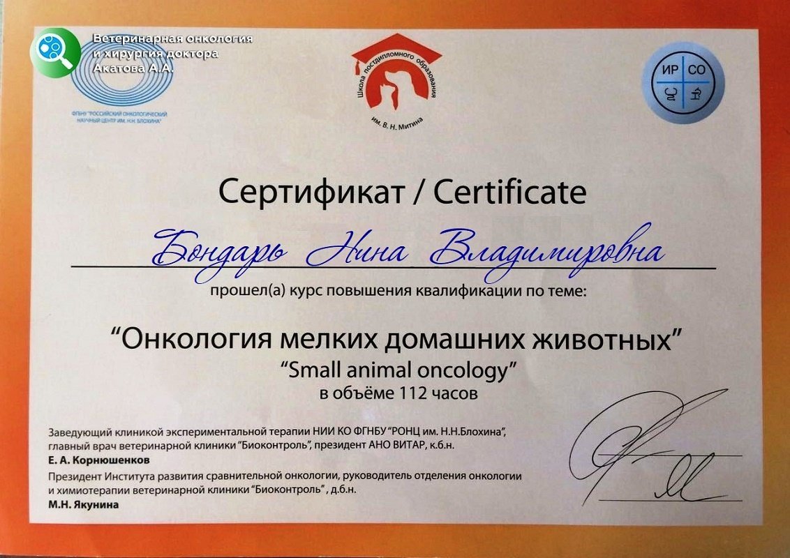 Документ или сертификат