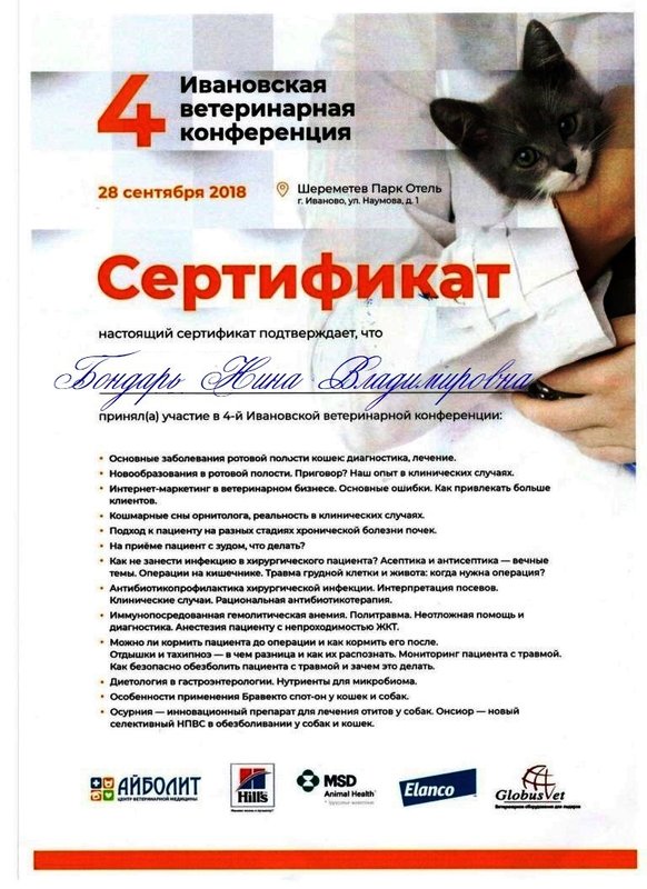 Документ или сертификат