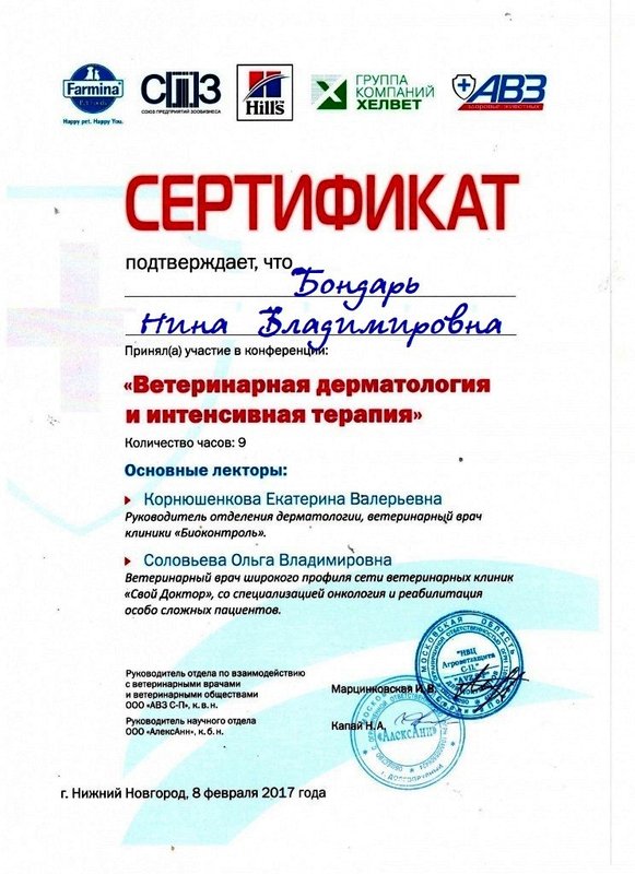 Документ или сертификат