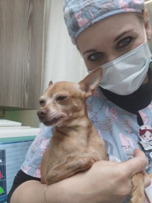 Фото врача Семёнова Александра Вячеславовна