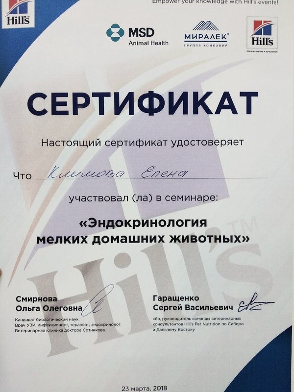 Документ или сертификат