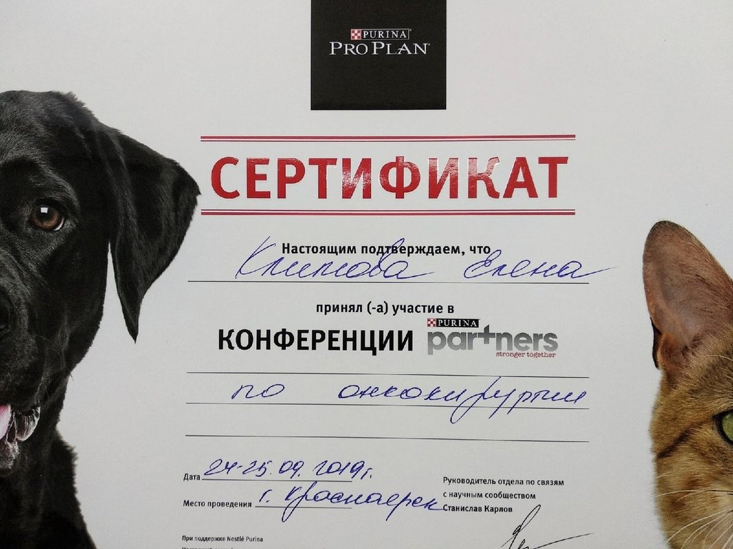 Документ или сертификат