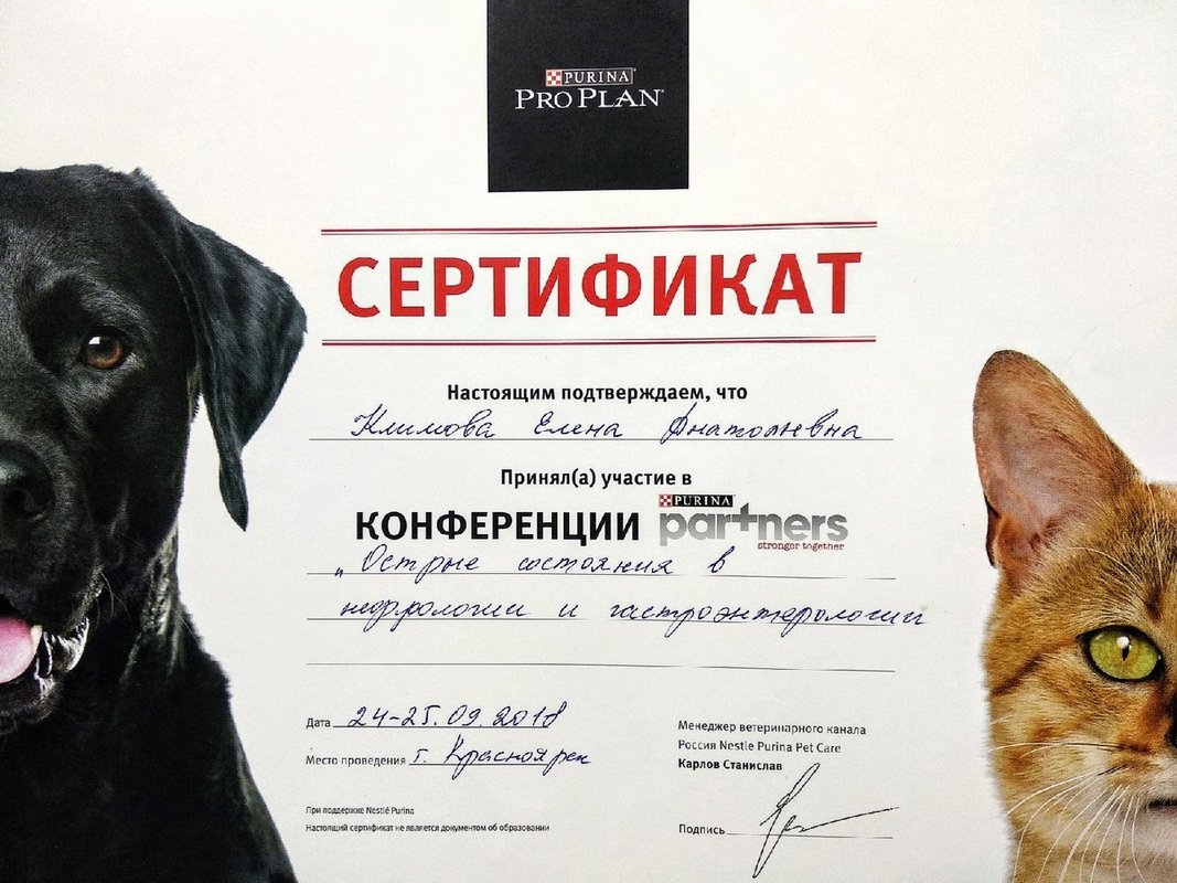 Документ или сертификат