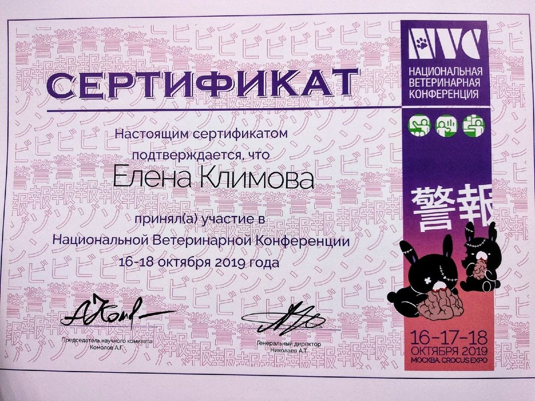 Документ или сертификат