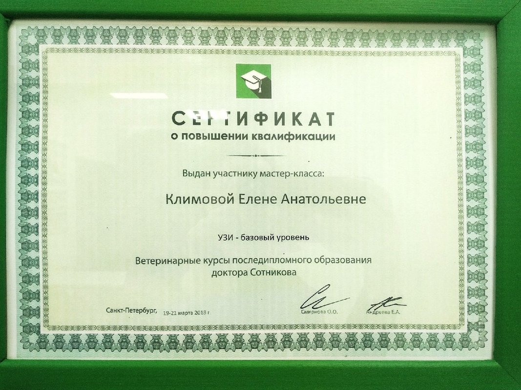 Документ или сертификат