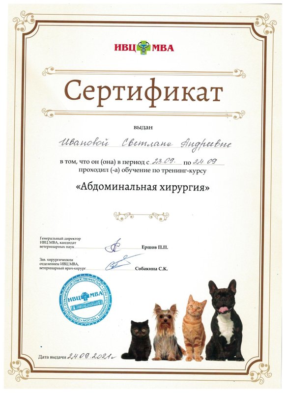 Документ или сертификат